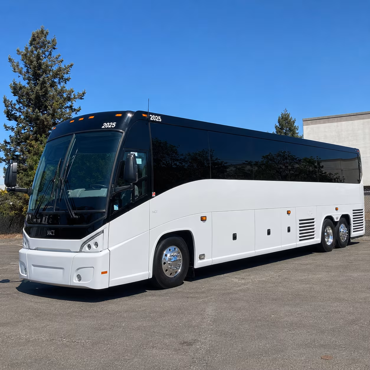 56 passenger charter bus